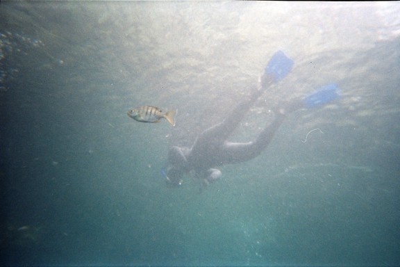 Florida, Rainbow River