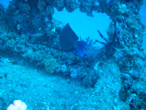 Pompano Beach, United States