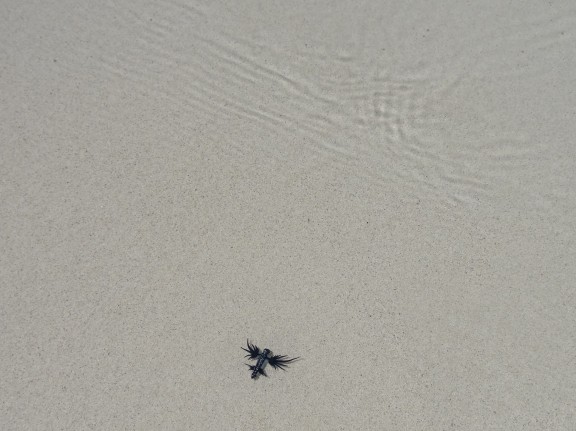 Islas Galápagos, Ecuador
