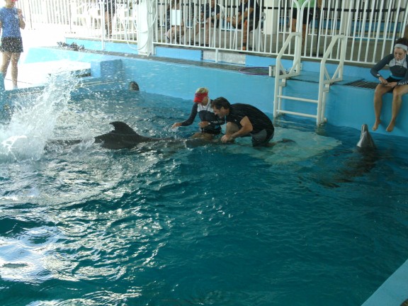Clearwater, United States