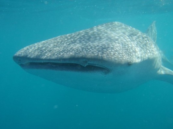 Tadjourah, Djibouti
