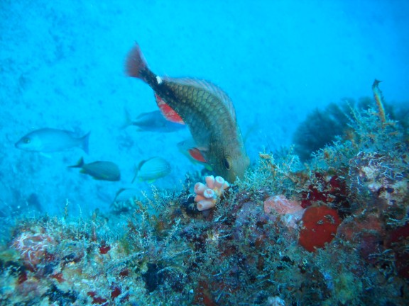 Pompano Beach, Florida