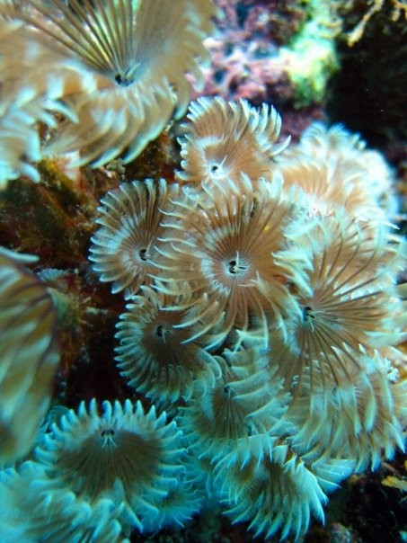 Aguadilla, Puerto Rico