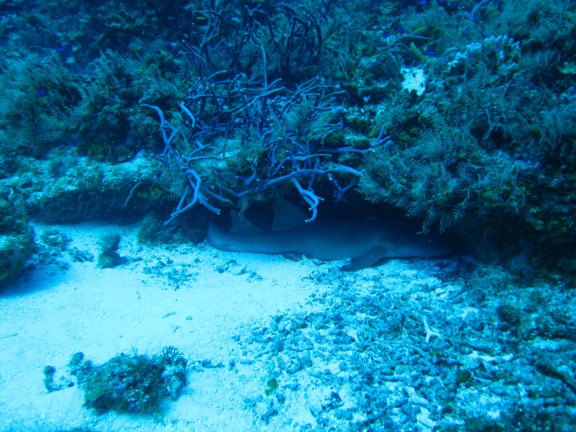 Quintana Roo, Mexico