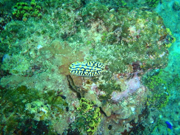 port blair andamans