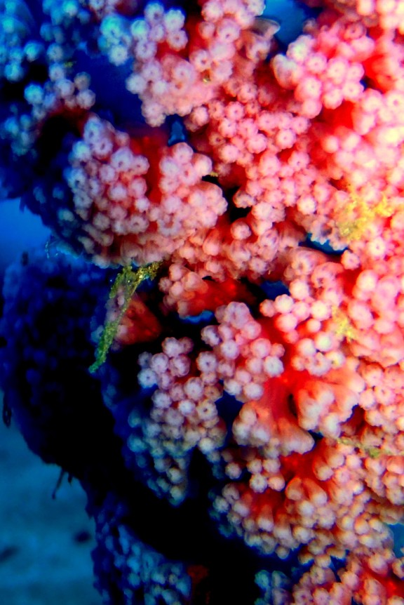 port blair andamans