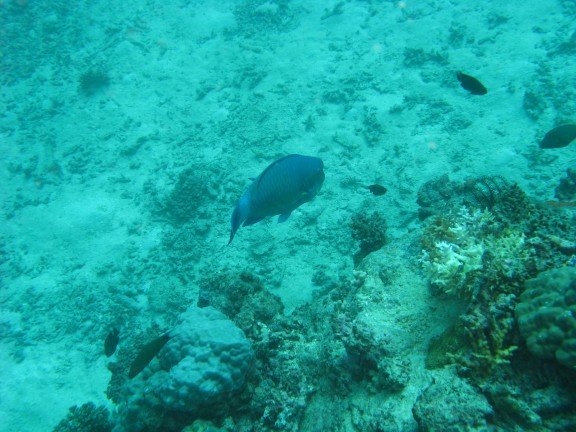 Queensland, Australia