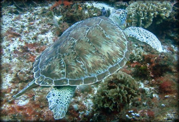 Quintana Roo, Mexico