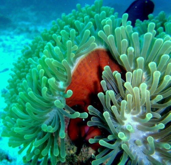 Port Blair, India