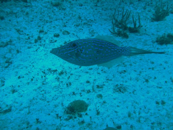 Cozumel, Mexico