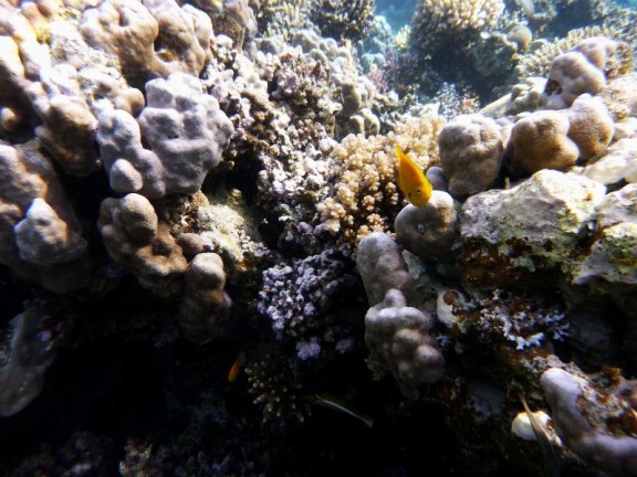 Dahab, Egypt