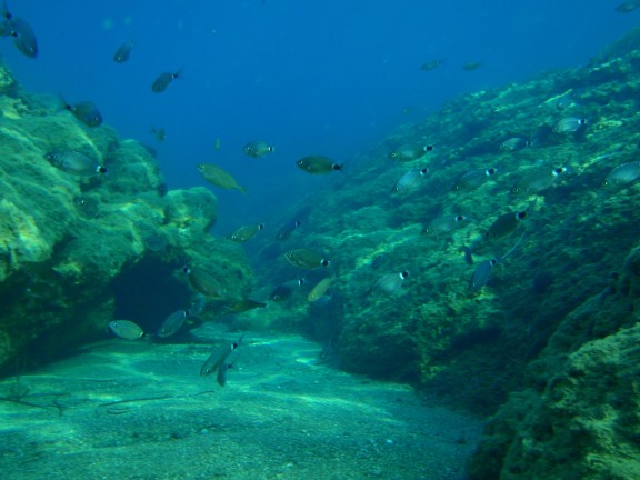 Xylofagou, Cyprus
