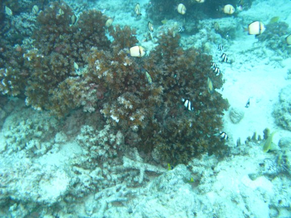 Queensland, Australia