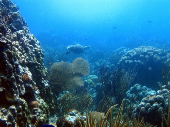 Culebra, Puerto Rico
