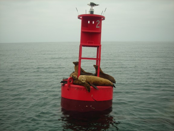 Pacific Ocean