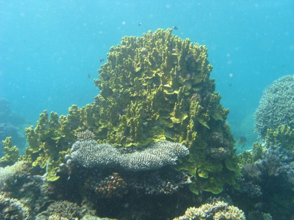Queensland, Australia