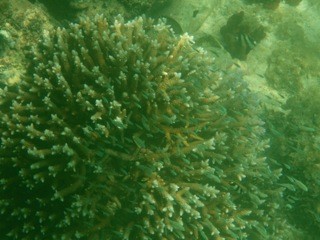 Grand Baie, Maurice