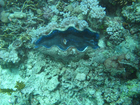 Queensland, Australia