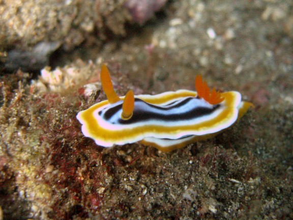 Baturiti, Indonesien