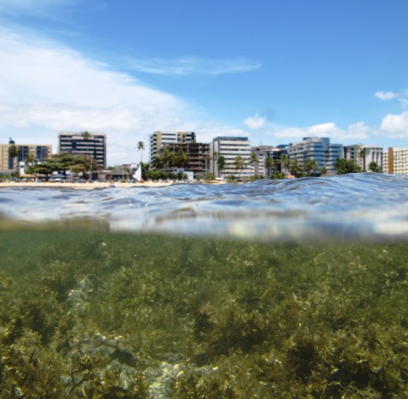 Maceió, República Federativa do Brasil