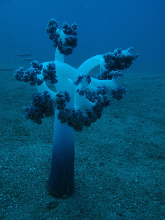port blair andamans