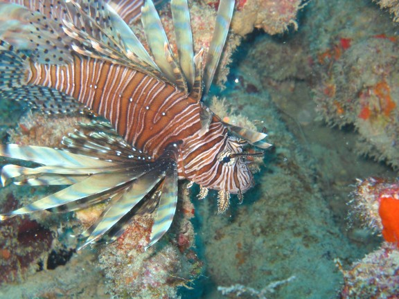 Pompano Beach, United States