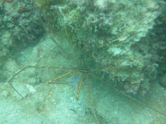 Arraial do Cabo, Brasil