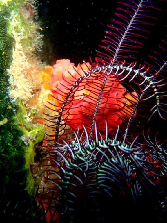 port blair, india