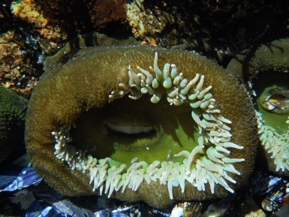 Ucluelet, Canada