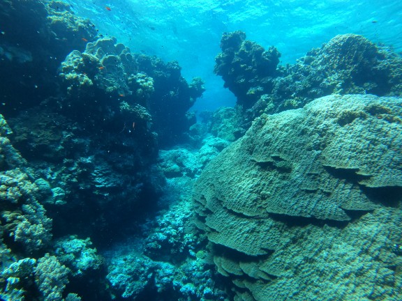 Red Sea, Egypt