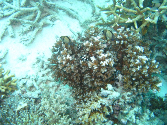 Queensland, Australia
