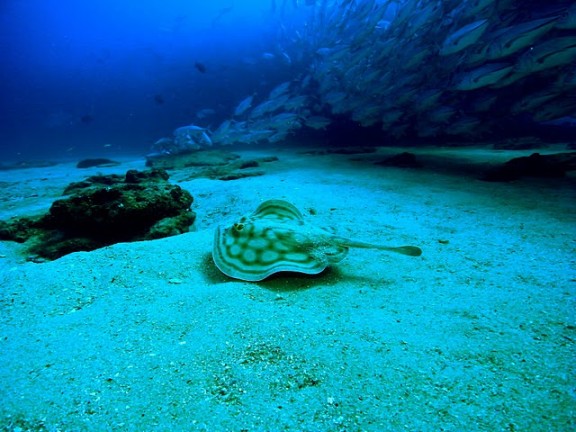 Baja California Sur, México