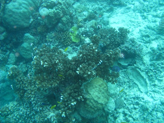 Queensland, Australia