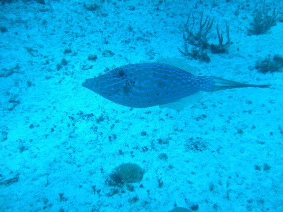 Cozumel, Mexico