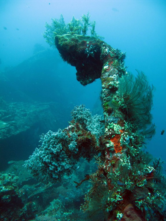 Kubu, Indonesia