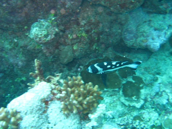 Queensland, Australia