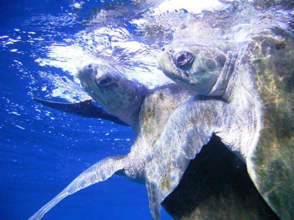 San Juan del Sur