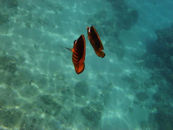 Dahab, Egypt