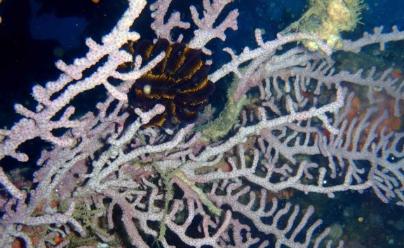 Andaman, India