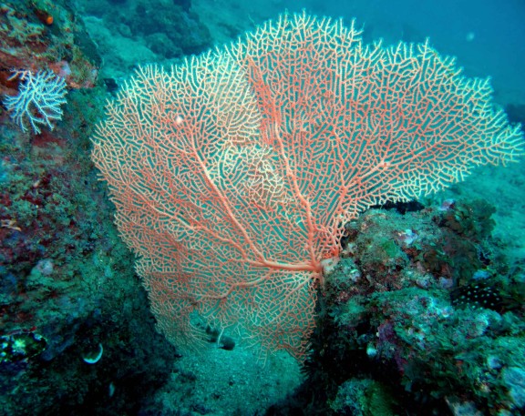 Port Blair, India