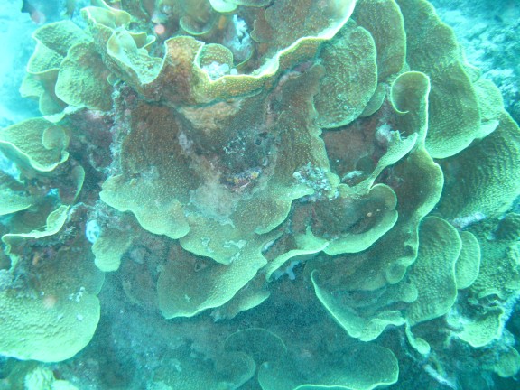 Queensland, Australia