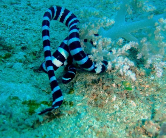 port blair, india
