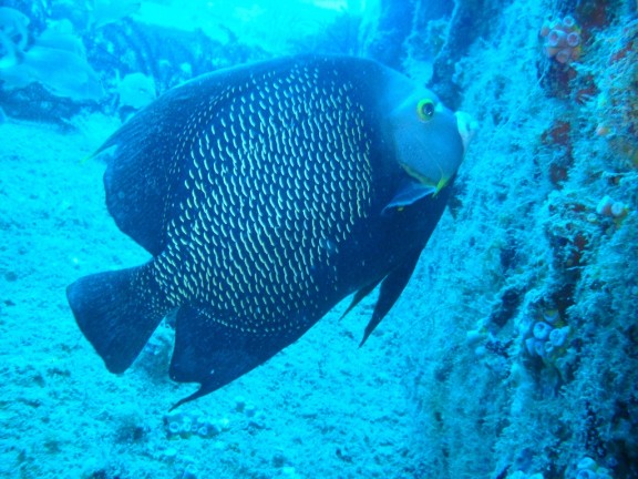 Pompano Beach, Florida