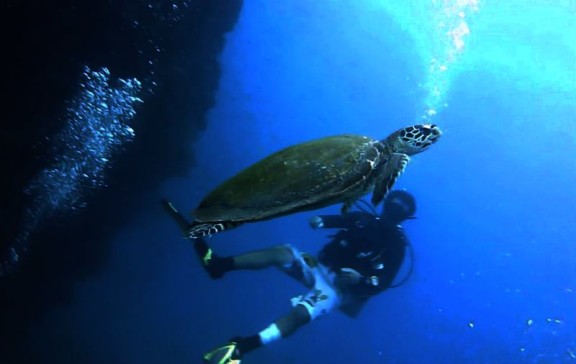 Ko Tao, Thailand