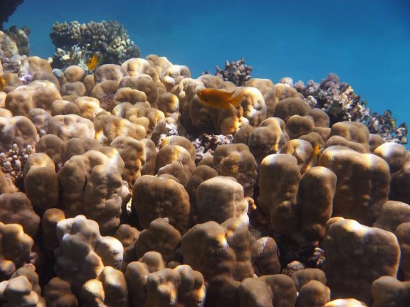 Dahab, Egypt