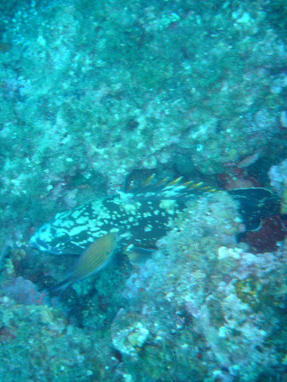 Torroella de Montgrí, España