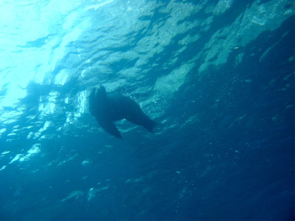Galapagos Islands