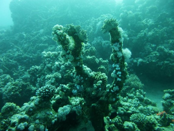 Dahab, Egypt