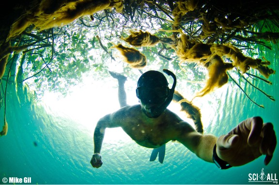 Felipe Carrillo Puerto, Mexico
