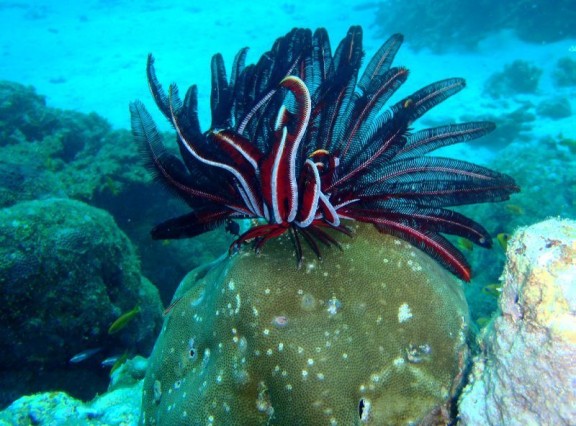 Port Blair, India